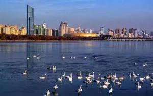 三門峽又一網(wǎng)紅景點(diǎn)，確定不來pick一下？